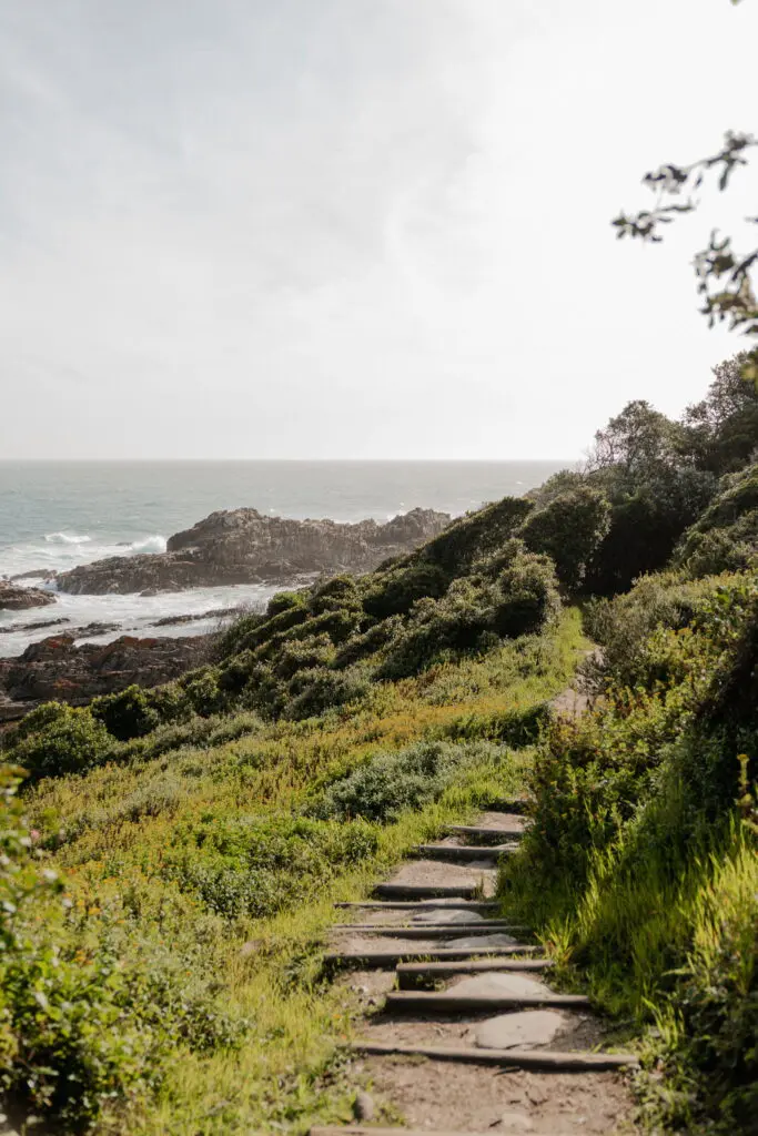 Tsitsikamma National Park