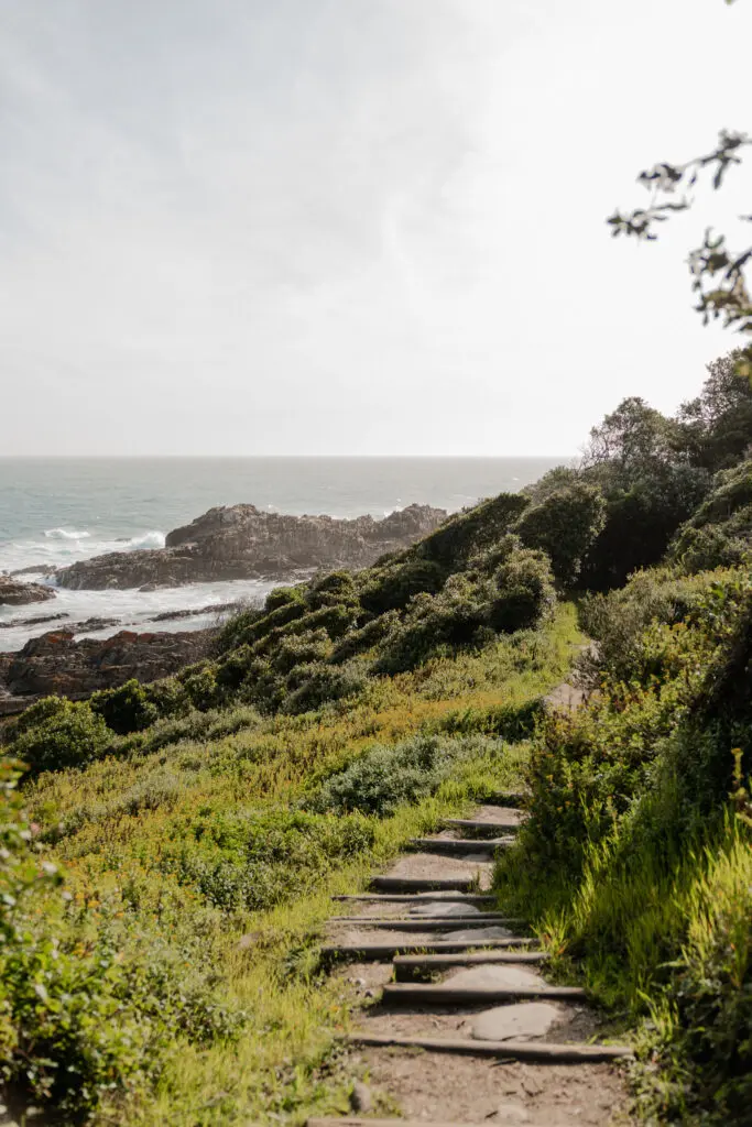 Highlights in South Africa