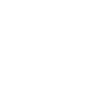South Africa Nomads logo