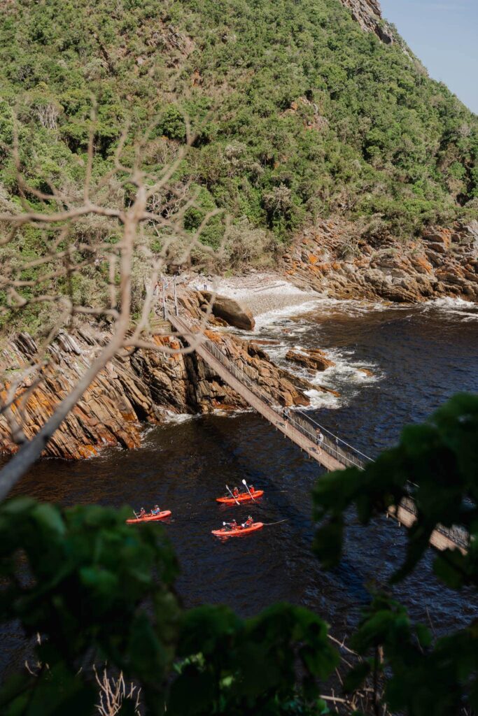 Tsitsikamma National Park