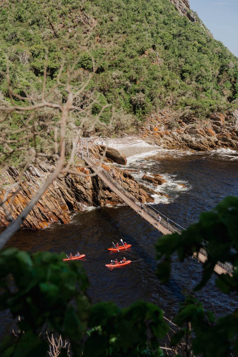 Tsitsikamma National Park