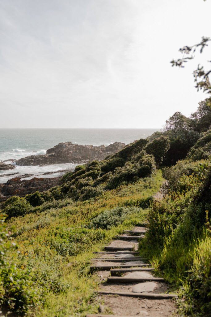 Hoogtepunten in Zuid-Afrika