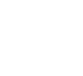 South Africa Nomads logo